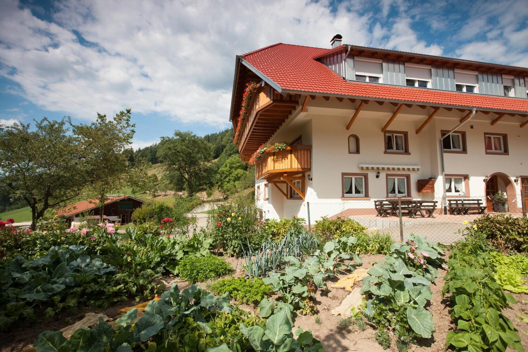 Schaetzlehof Hotel Winden im Elztal Ngoại thất bức ảnh