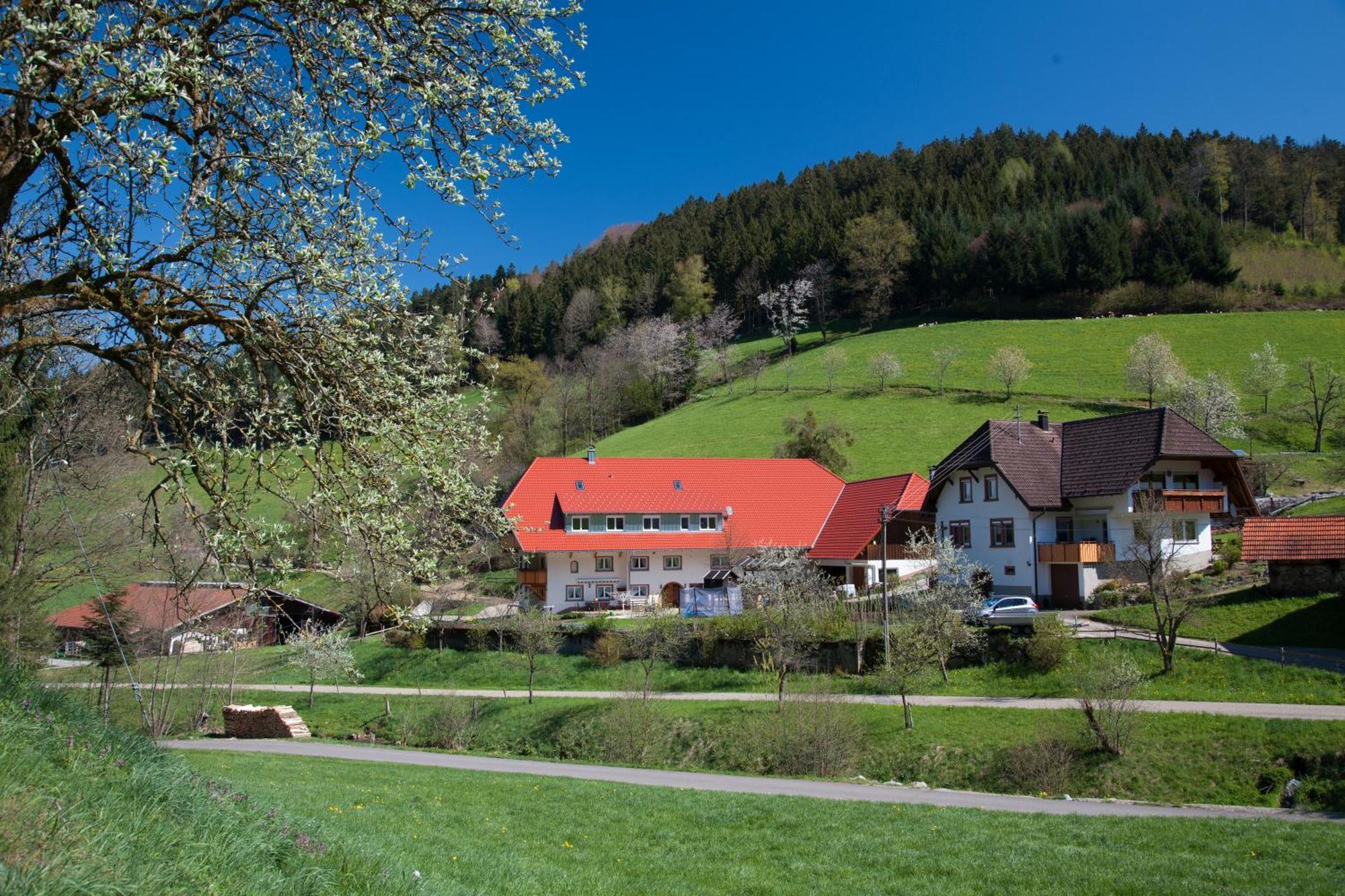 Schaetzlehof Hotel Winden im Elztal Ngoại thất bức ảnh